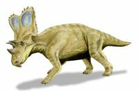 An artists reconstruction of Chasmosaurus.